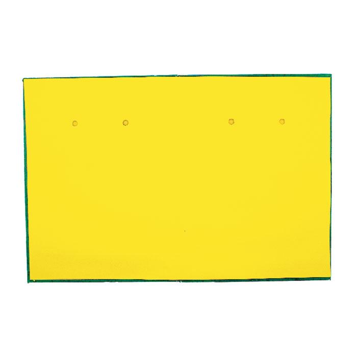 05050